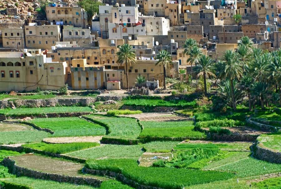 Oman: Muscat to Bilad Sayt 4WD Day Trip - Why Bilad Sayt makes this day different