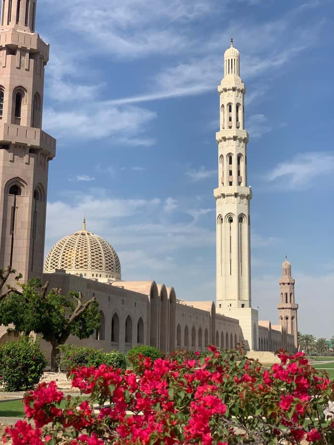 Oman: Private City Tour of Muscat with pick up/drop off - Guide quality, flexibility, and the private format