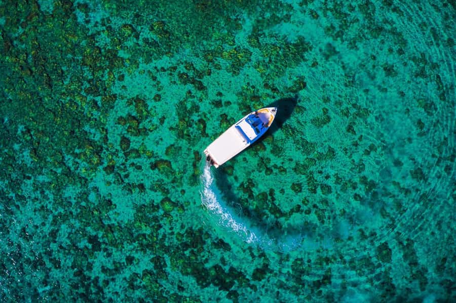 Oman: Snorkeling Trip at Daymaniyat Islands - Refreshments, sandwiches, and what is not included