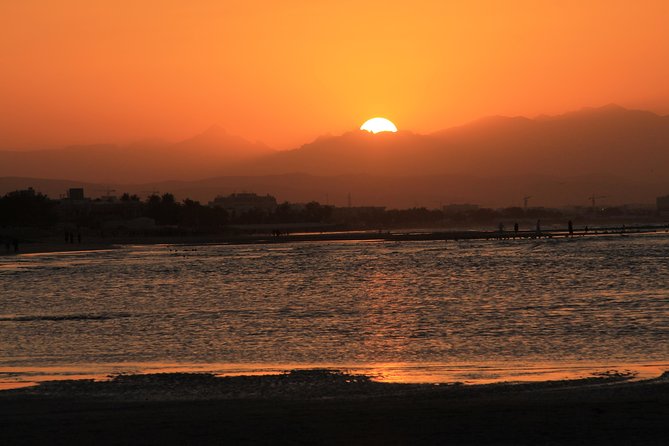 Omani dhow:Coastal and Sunset Cruise - A short Muscat outing with a strong visual payoff