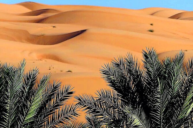 Private 2 Days 1 Night Wahiba Sands Desert and Wadi Bani Khalid Tour - Entering Wahiba Sands by 4WD