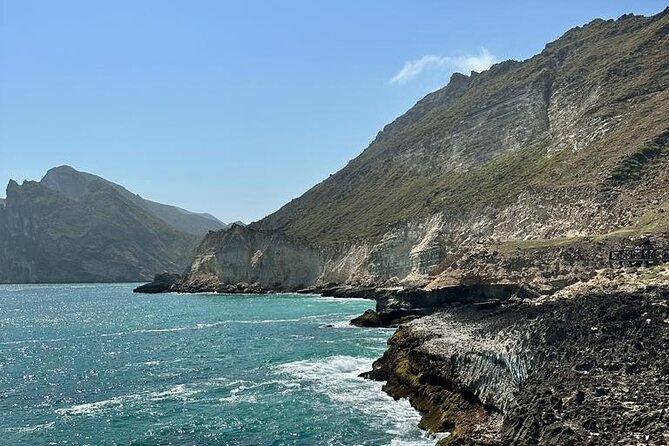 Private Caribian Orient (Swiming in Fazayeh Beach ) - Frankincense trees in their natural setting