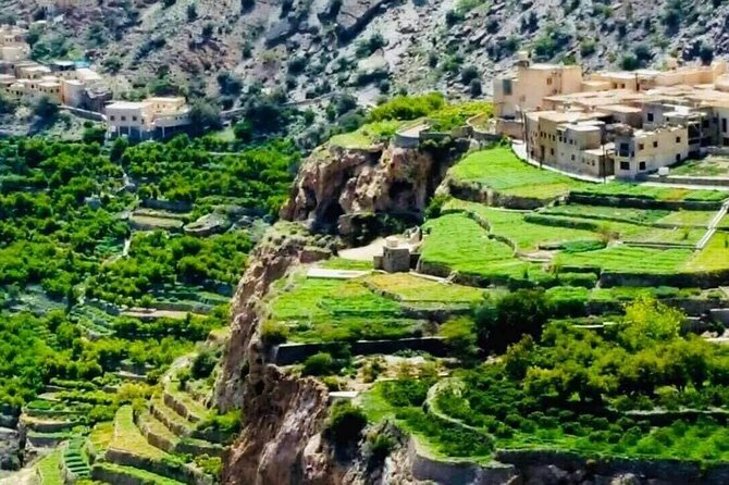 Private Day-Tour in Nizwa and Jebel Akhdar - Nizwa Souq and the everyday side of old Oman