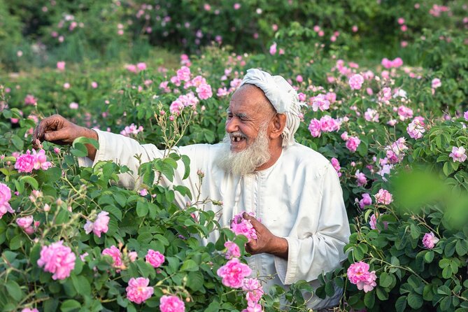 Private Day Tour of Oman's Natural Wonders in Nizwa, Jabel Akhdar - Why this Muscat day trip works