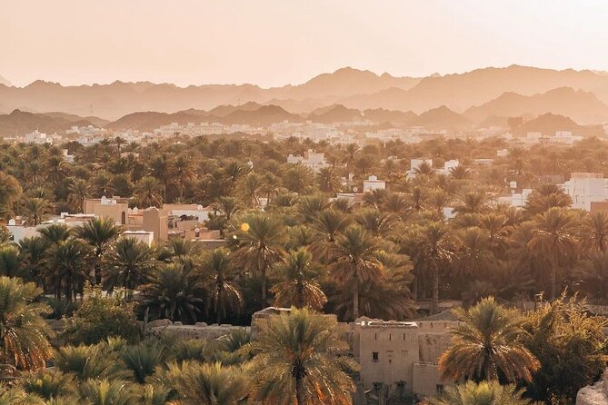 Private Day Tour to the Enchanting Forts of Nizwa - The guide can make or break the history