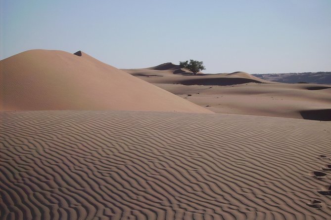 Private Day Trip to Grand Mosque & Wahiba Sands - Booking tips for a smoother day