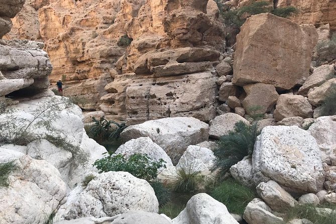 Private Day Trip to Wadi Shab & Bimmah Sinkhole Price Up To 5 Persons - What the $400 group price really buys