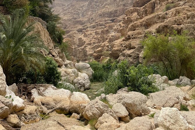 Private Day Trip to Wadi Shab, Fins Beach & Bimmah Sinkhole - Food, water, and what to bring