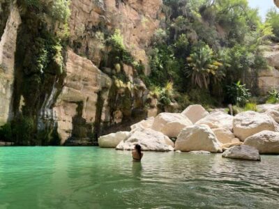 Private Day Trip to Wadi Tiwi, Fins Beach, Bimmah Sinkhole