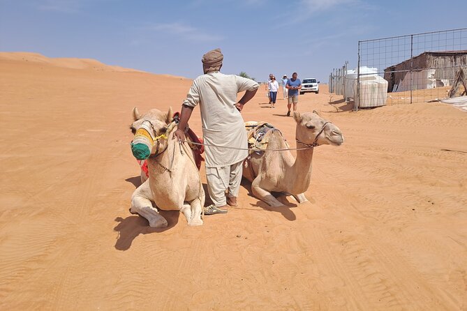 Private Desert and Wadi Tour in Oman - Is $300 a fair price?