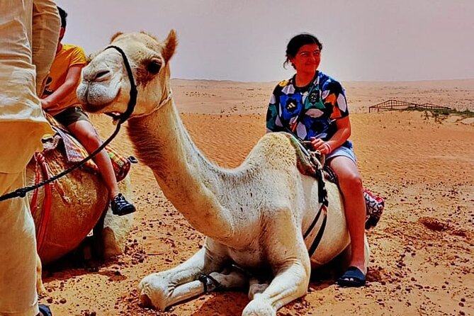 Private Desert Tour with Activities - Full Day - 4WD driving over the dunes
