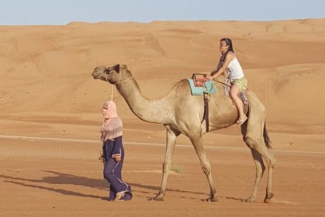 Private Desert Tour with Activities - Full Day - Camel riding for a short traditional experience