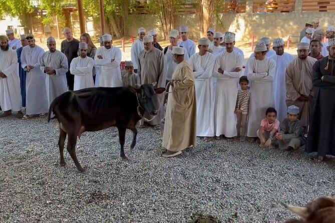 Private Friday Cattle Market-Nizwa and Jebel Akhdar-Full-Day Tour - Five things to know before booking