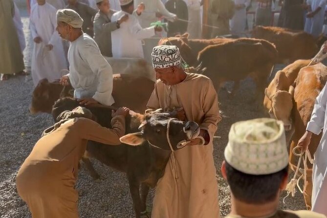 Private Friday Cattle Market-Nizwa and Jebel Akhdar-Full-Day Tour - Birkat Al Mouz and the Al Kattmyn water channels