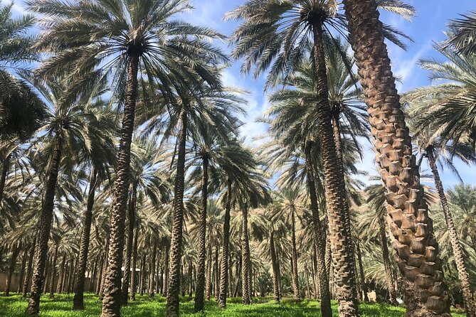 Private Friday Cattle Market-Nizwa and Jebel Akhdar-Full-Day Tour - What the $210 price includes