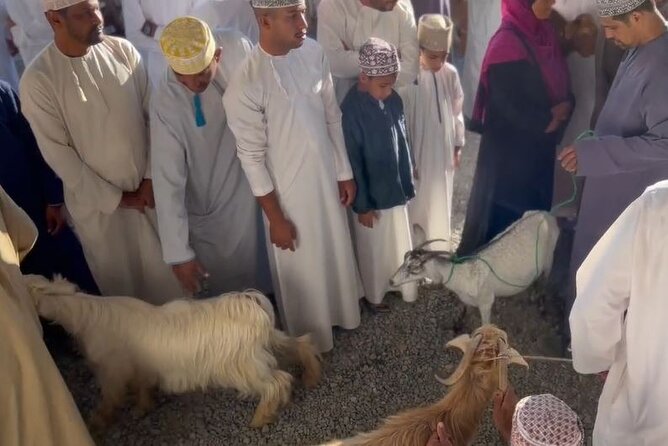Private Friday Cattle Market-Nizwa and Jebel Akhdar-Full-Day Tour - Nizwa Souq: a useful second look at local commerce
