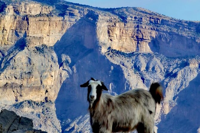 Private Full Day Guided Balcony Walk Hiking to Jebel Shams - Is Eight Hours Enough for This Mountain Trip?
