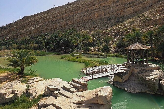 Private Full Day Private Desert Safari Tour - Coffee, dates, and a Bedouin-house visit