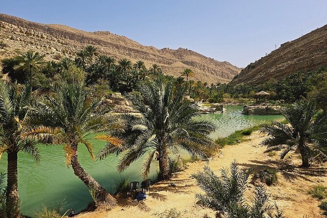 Private Full Day Private Desert Safari Tour - The camel ride and extra desert activities