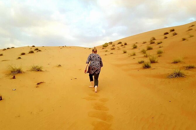 Private Full Day Private Desert Safari Tour - Lunch at a local restaurant, paid separately