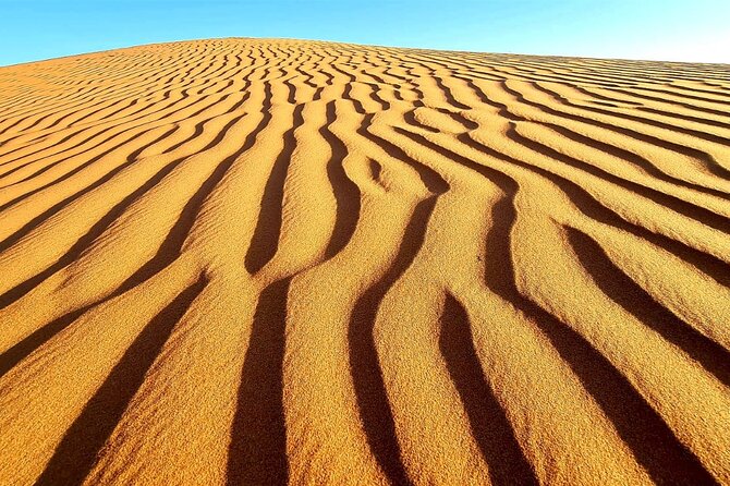 Private Full Day Private Desert Safari Tour - What the $175 price delivers