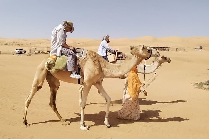 Private Full Day Tour to Wahiba Sands Desert and Wadi Hawer - What $183.60 per person buys you