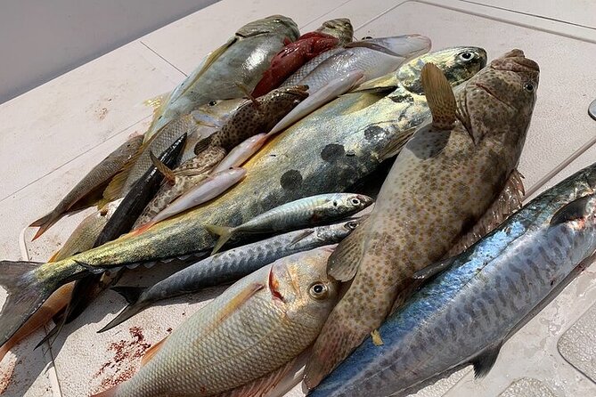 Private Game Fishing Trip with Sightseeing in Muscat - The boat, safety gear, and comfort level