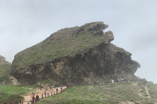 Private Guided Tour to West Beaches of Salalah - The winding road to Fazayah Beach