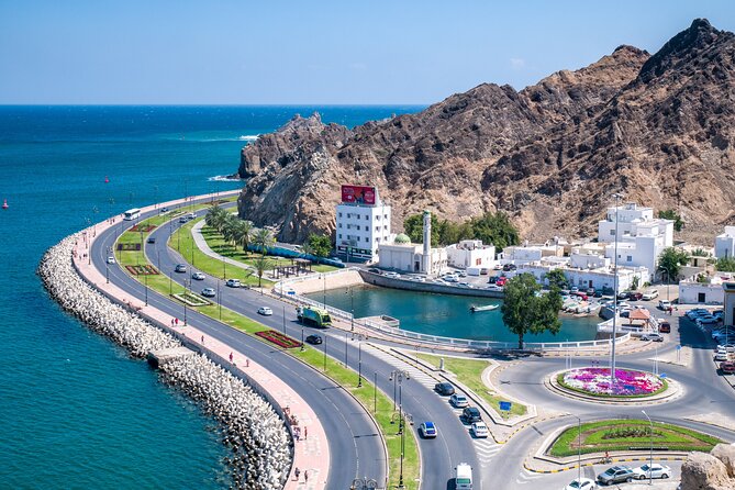Private Half Day Muscat City Tour (Morning or Afternoon) - Al Alam Palace and Muscat’s royal waterfront