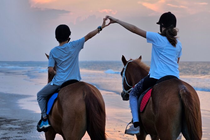 Private Horseback Riding in Muscat Beach - Why beginners may feel comfortable here