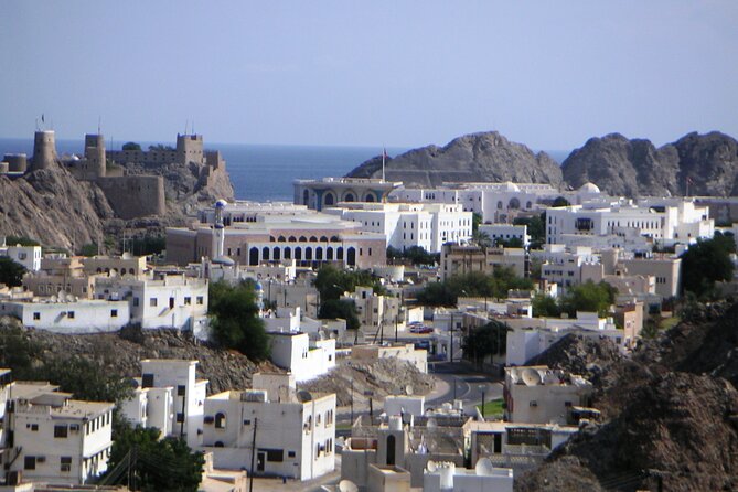 Private Muscat City Sightseeing Tour - A Fascinating Capital - Is $169 per person good value?