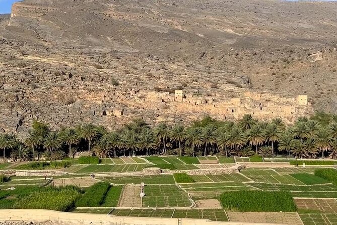 Private Nizwa - Al Hamra Old Village - Misfah Al Arbyeen - Full Day Tour - Who should book this experience?