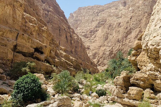 Private Oman Desert Overnight in Wahiba Sand and Wadi Exploration - What $500 per person really includes