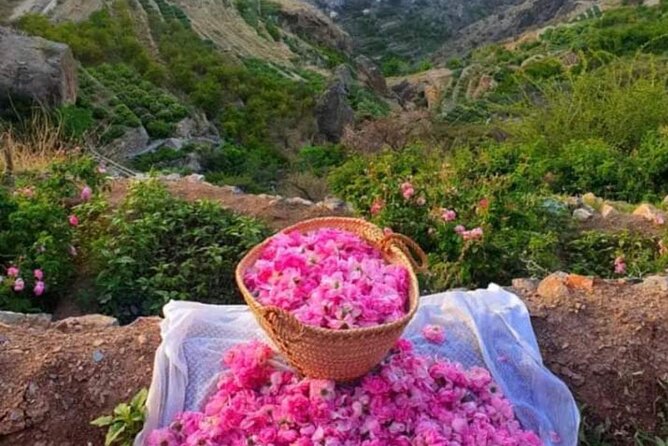 Private Oman Full Day Guided Sightseeing Tour - Nizwa Souq: Start With Oman’s Old Trade