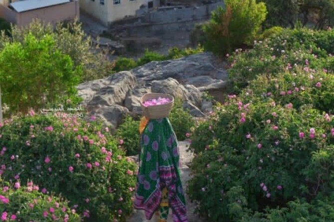 Private Oman Full Day Guided Sightseeing Tour - Timing, Pickup, and What to Plan
