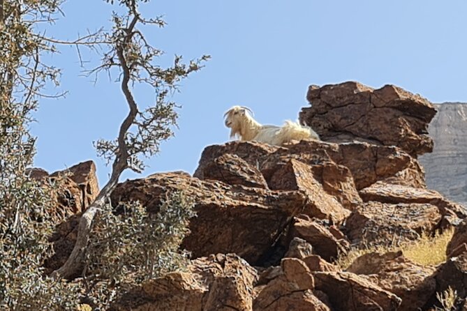 Private Overnight Nizwa & Jebel Akhdar Tour from Muscat - Jebel Akhdar: the overnight mountain setting
