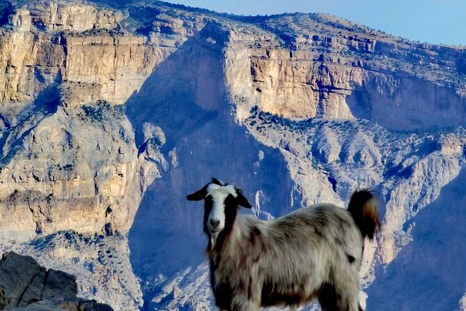 Private Overnight Nizwa & Jebel Akhdar Tour from Muscat - What the $551 price includes