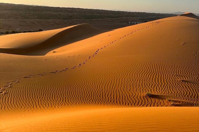 Private Safari tour and Wadi in 4x4 with a local guide - Key points at a glance