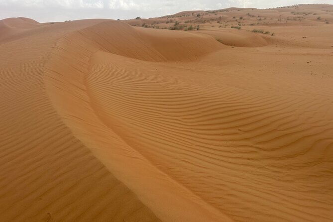 Private Safari tour and Wadi in 4x4 with a local guide - Why this private Muscat tour works