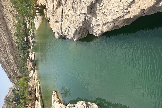 Private Safari tour and Wadi in 4x4 with a local guide - How the private format affects the experience