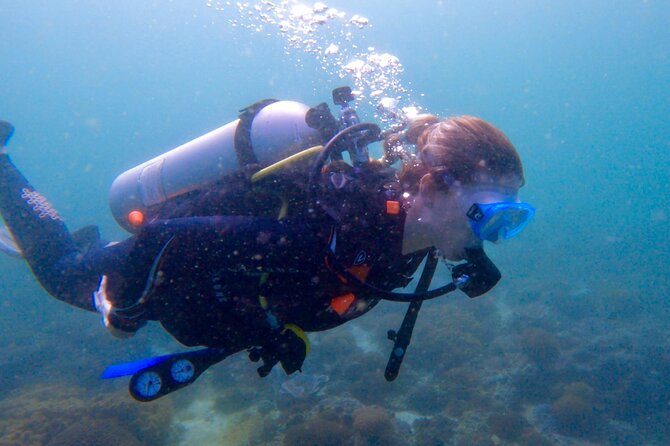 Private scuba diving trips Muscat - Two sessions, with time to choose scuba or snorkelling