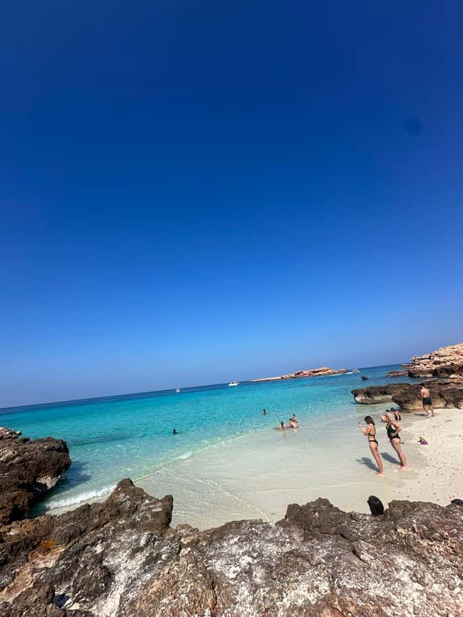 Private Snorkeling Tour - Ad Dimaniyat Islands - Key points to know before booking