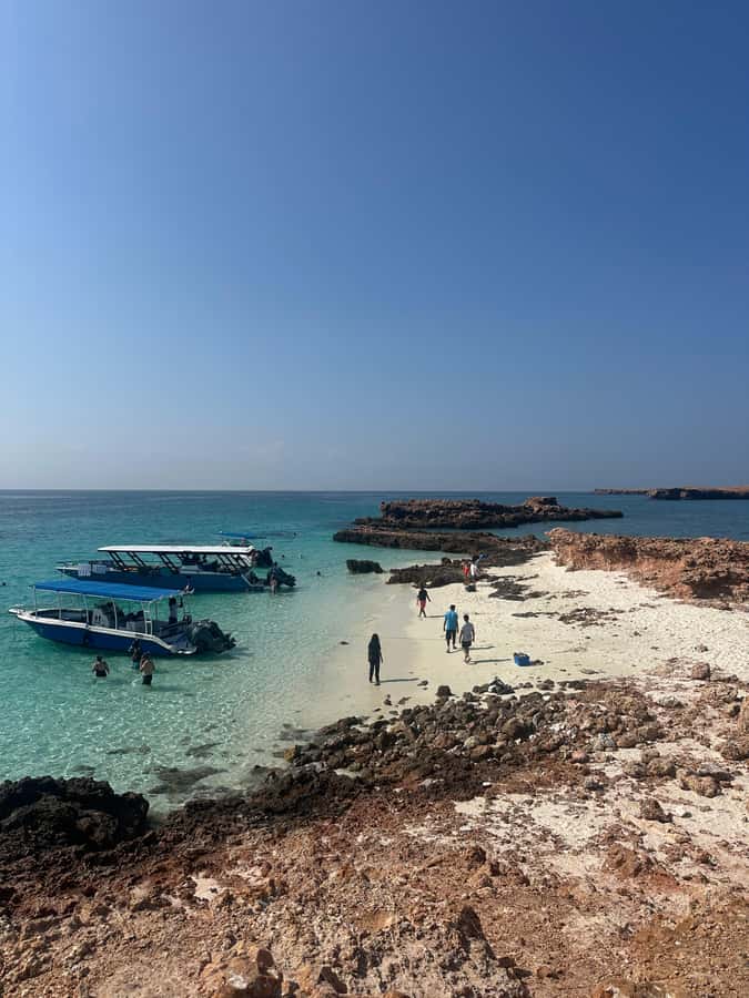 Private Snorkeling Tour - Ad Dimaniyat Islands - Swimming with turtles and watching the reef