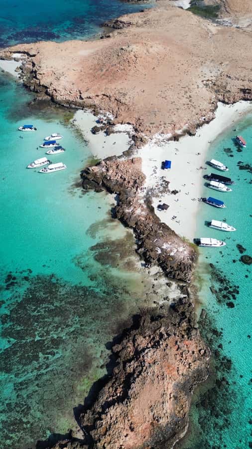 Private Snorkeling Tour - Ad Dimaniyat Islands - What to bring for a better morning on the water