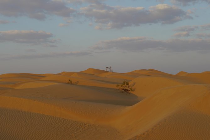Private tour - Empty Quarter desert adventure - Wadi Dawka + Ubar - What the private format really gives you