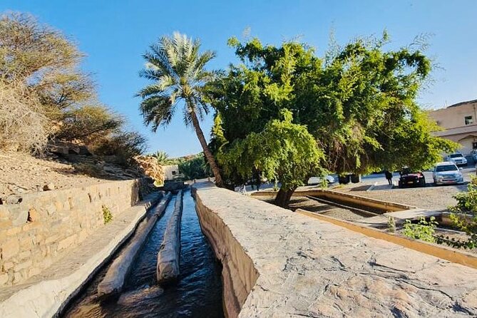 Private Tour to Jebel Akhdar Al Suwjara Village - Why the private 4WD format matters