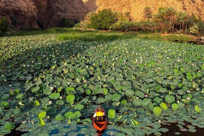 Private Trip in Wadi Shab - Key points to know before you book