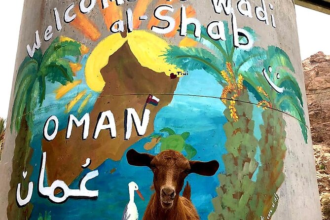 Private Wadi Shab - Ras Al Hadd Overnight - 2 Days Tours - Sur and the sound of wooden dhows