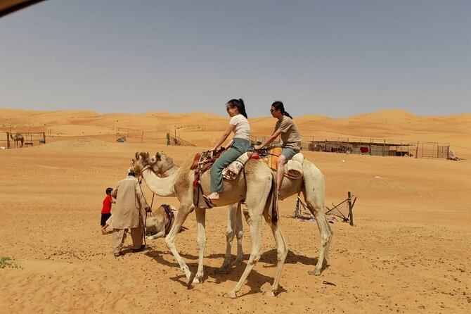 Private Wahiba Sand Desert and Wadi Hawar - Full Day Tours - Who should book this Oman day trip?