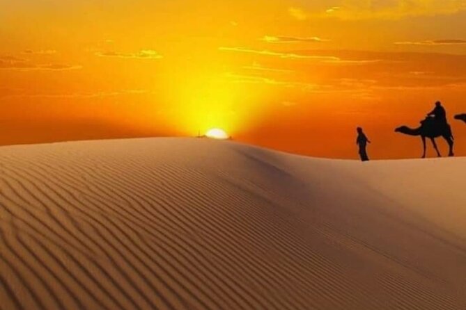Private Watching Sunrise in the Desert - Early Morning Tour - What $175 per person really gets you